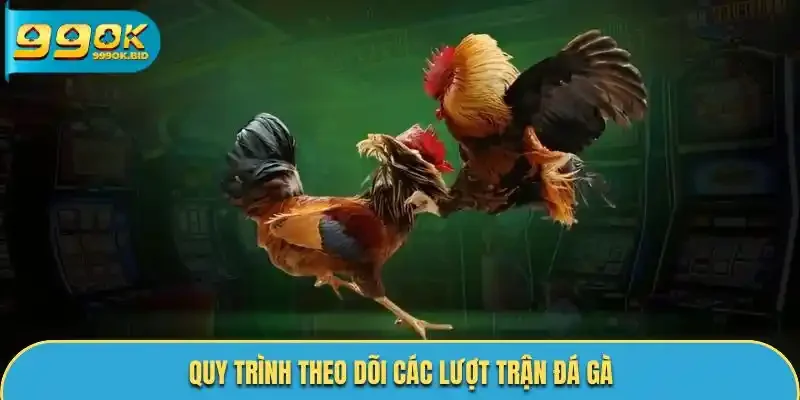 Quy trình theo dõi các lượt trận đá gà