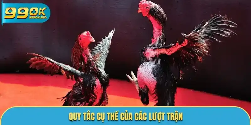 Quy tắc cụ thể của các lượt trận